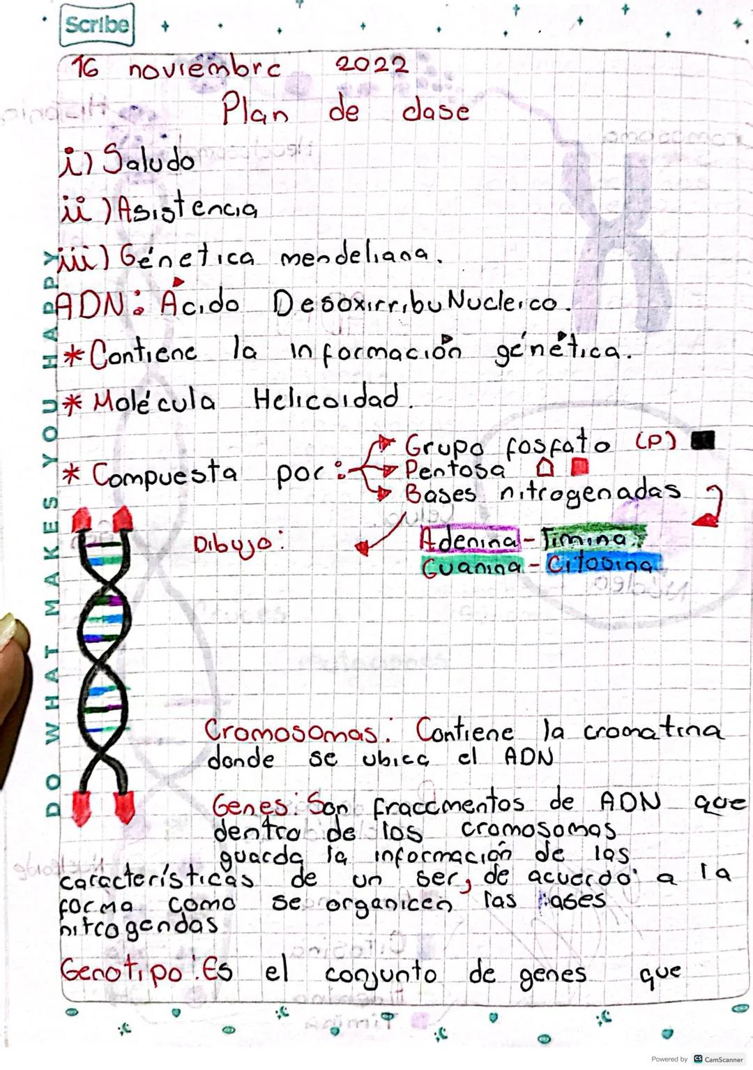 Scribe +
16 noviembre
i) Saludo
2022
Plan de
ii) Asistencia
obal
dase
iii) Genetica mendeliana.
ADN Acido Desoxirribu Nucleico.
=* Contiene 