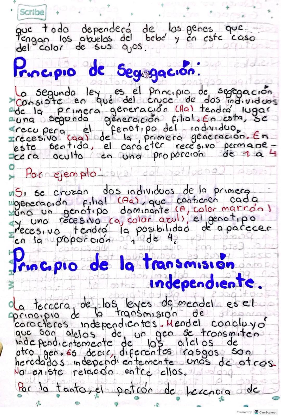 Scribe +
16 noviembre
i) Saludo
2022
Plan de
ii) Asistencia
obal
dase
iii) Genetica mendeliana.
ADN Acido Desoxirribu Nucleico.
=* Contiene 