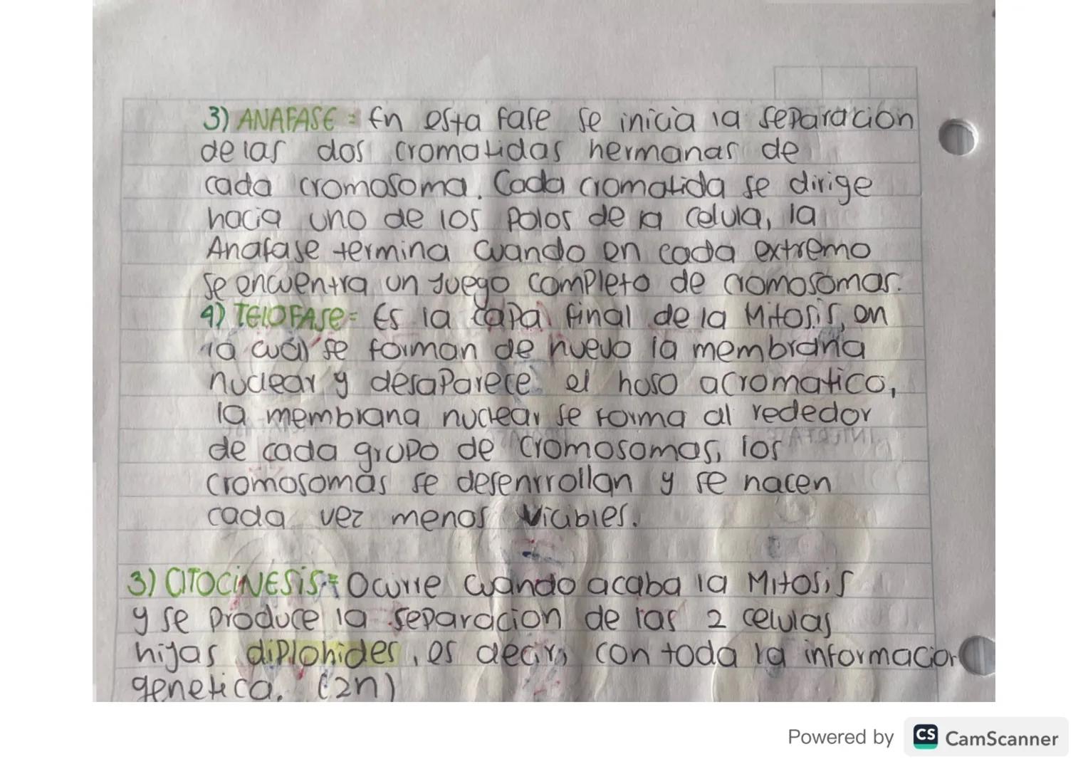 ciclo celular
Toda celula experimenta una serie de transformaciones
que culminan en la generacion de las celular
hijas, esta serie de cambio