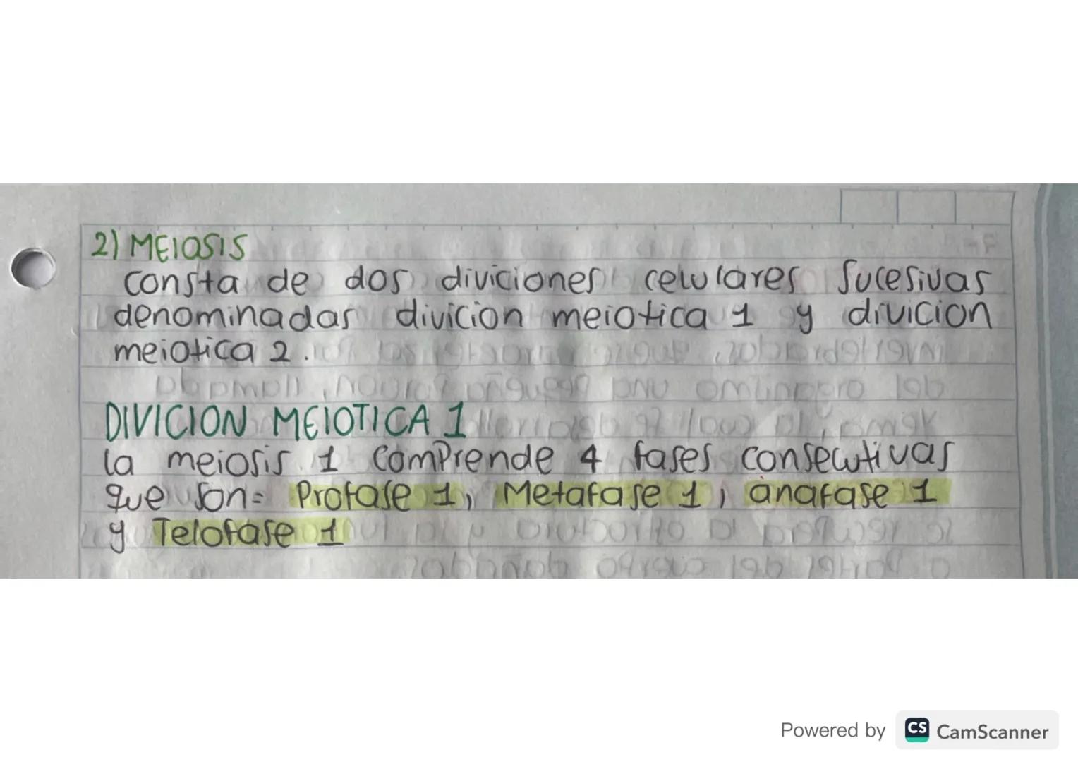 ciclo celular
Toda celula experimenta una serie de transformaciones
que culminan en la generacion de las celular
hijas, esta serie de cambio