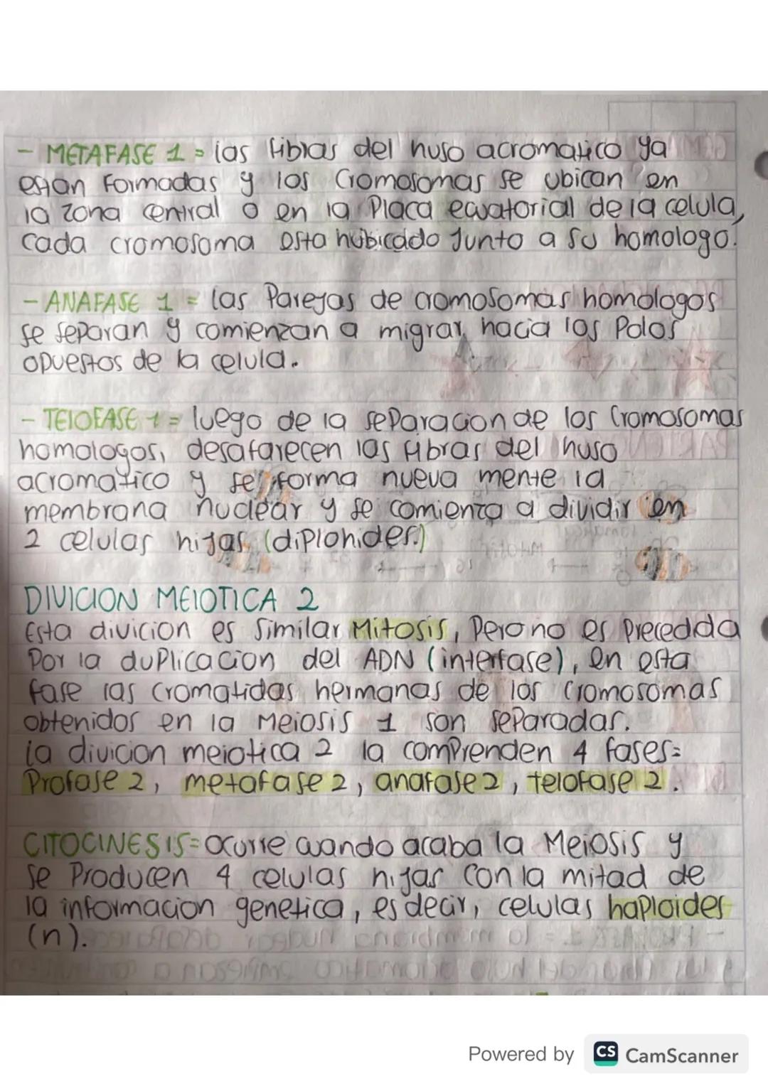 ciclo celular
Toda celula experimenta una serie de transformaciones
que culminan en la generacion de las celular
hijas, esta serie de cambio