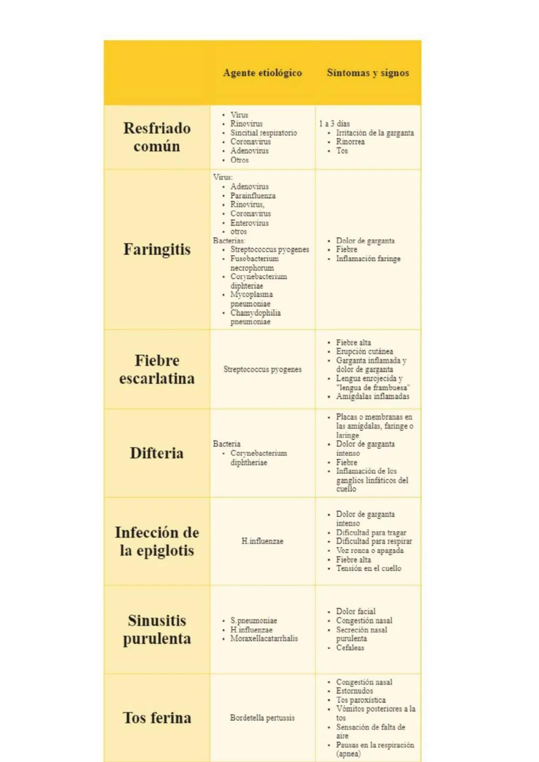 Agente etiológico
Síntomas y signos
Resfriado
común
Faringitis
Virus
Rinovirus
Sincitial respiratorio
Coronavirus
Adenovirus
. Otros
Virus:
