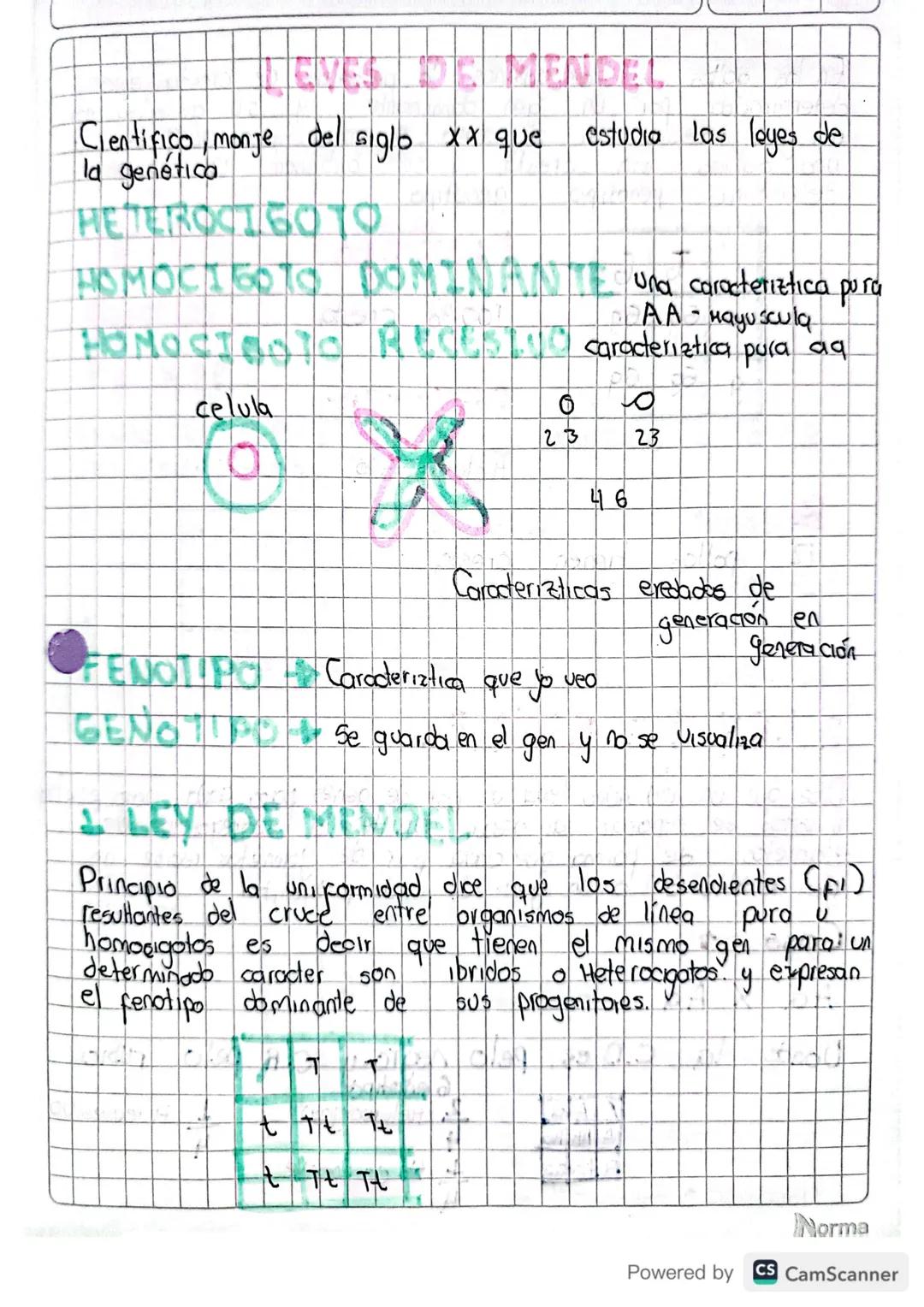 # LEYES DE MENDEL

Científico, monje del siglo xx que estudia las leyes de la genética

HETEROCIGOTO

HOMOCIGOTO DOMINANTE Una característic