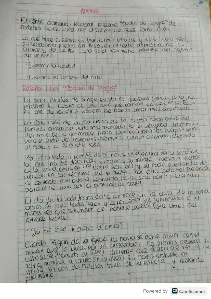 Apuntes
DD
MM
El centro dramatico Nacional presenta "Bodas de Sangre" de
Federico Garcia Lorca con dirección de Jose Carlos Plaza.
Lo que ha