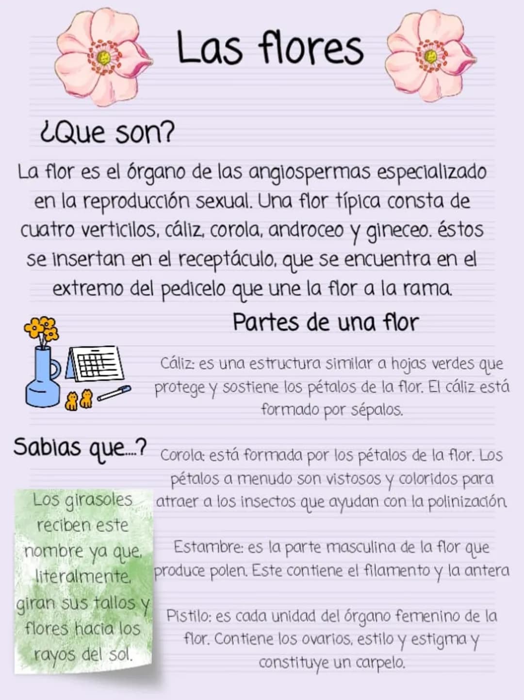 ¿Que son?
Las flores
La flor es el órgano de las angiospermas especializado
en la reproducción sexual. Una flor típica consta de
cuatro vert