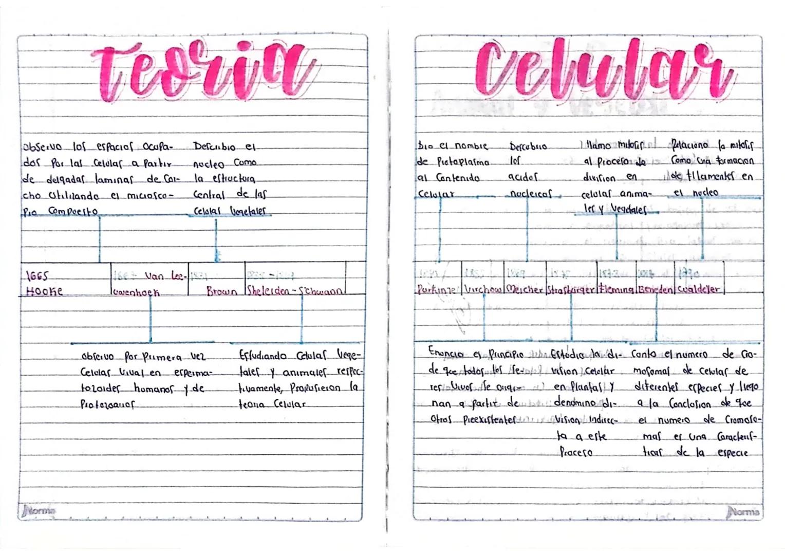 # Teoria

observo los espacios ocupa-
dos Por lal Celular a Partır
de delgadas laminas de Cor- 
cho Utilizando el miciOSCO-
Pio Com Deesto

