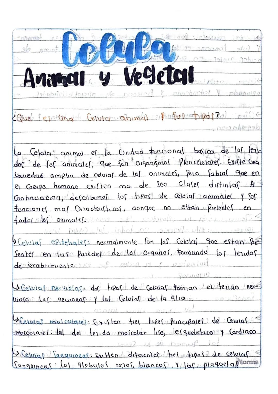 # Teoria

observo los espacios ocupa-
dos Por lal Celular a Partır
de delgadas laminas de Cor- 
cho Utilizando el miciOSCO-
Pio Com Deesto

