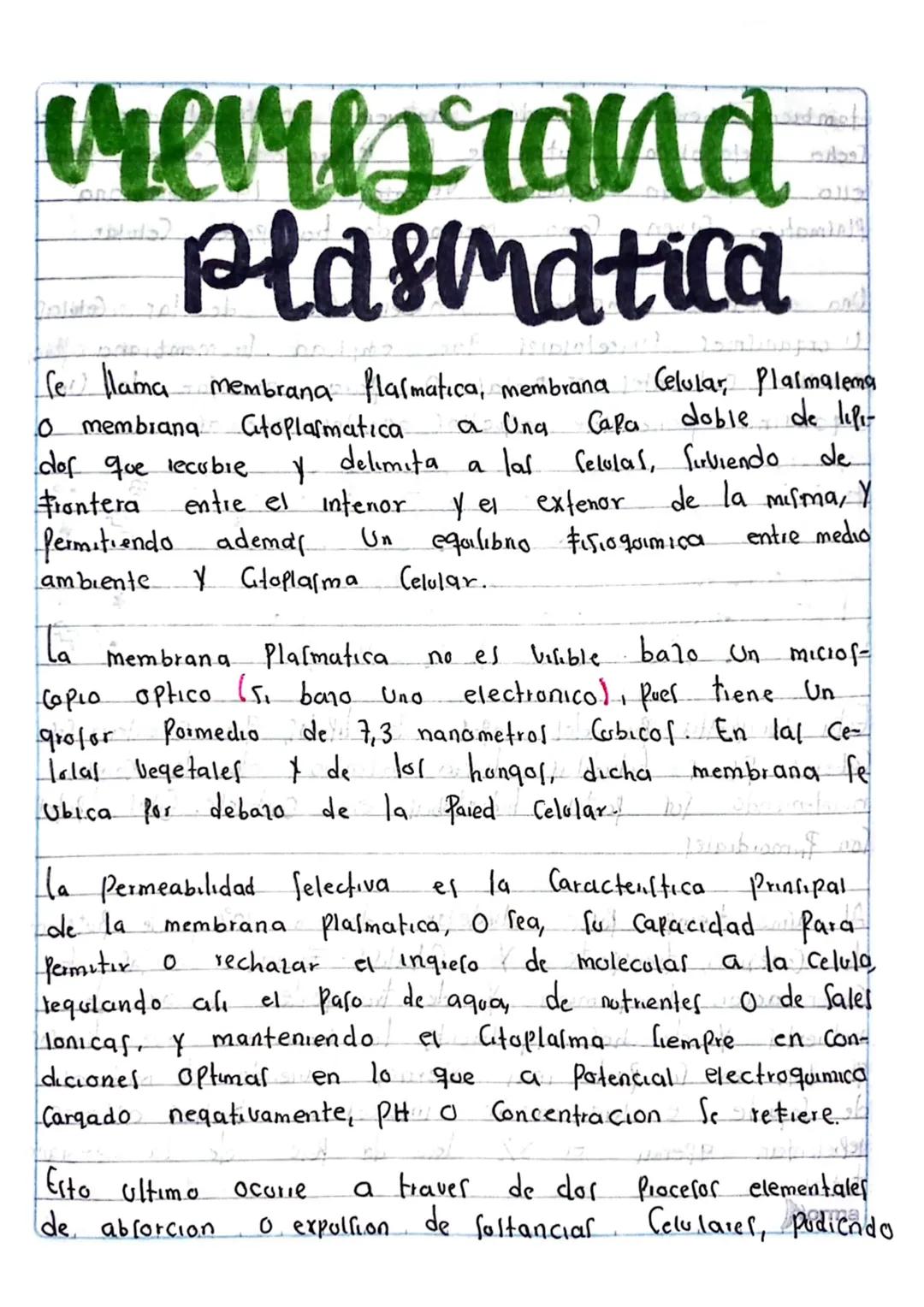 # Teoria

observo los espacios ocupa-
dos Por lal Celular a Partır
de delgadas laminas de Cor- 
cho Utilizando el miciOSCO-
Pio Com Deesto

