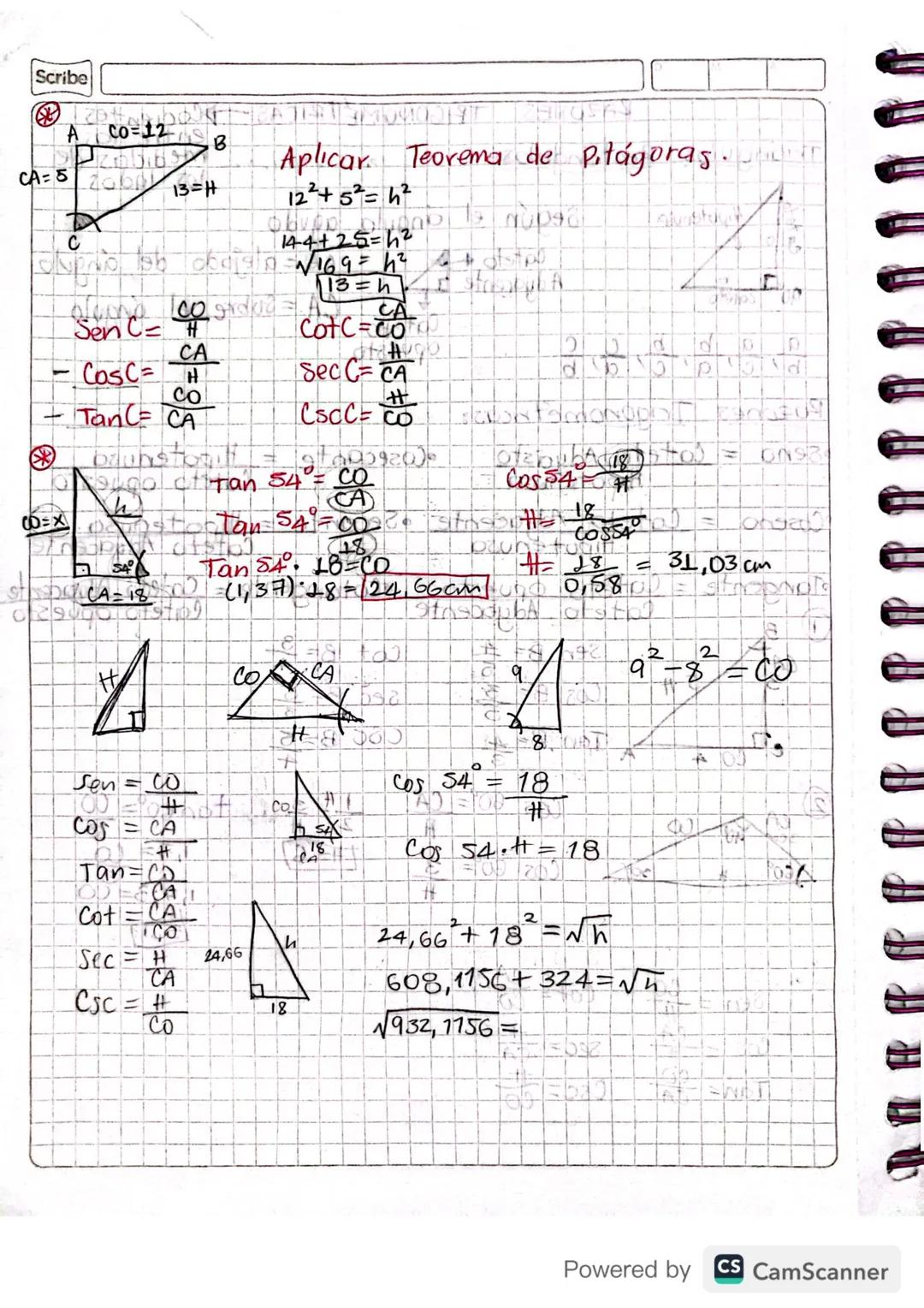 RAZONES TRIGONOMETRICAS Cocientes
RAZONES
Triángulos Rectangulos:
Cateto
thpotenusa
b
90° cateto
a a
bc
Según el ángulo agudo.
b'c'a'c ab
Ca