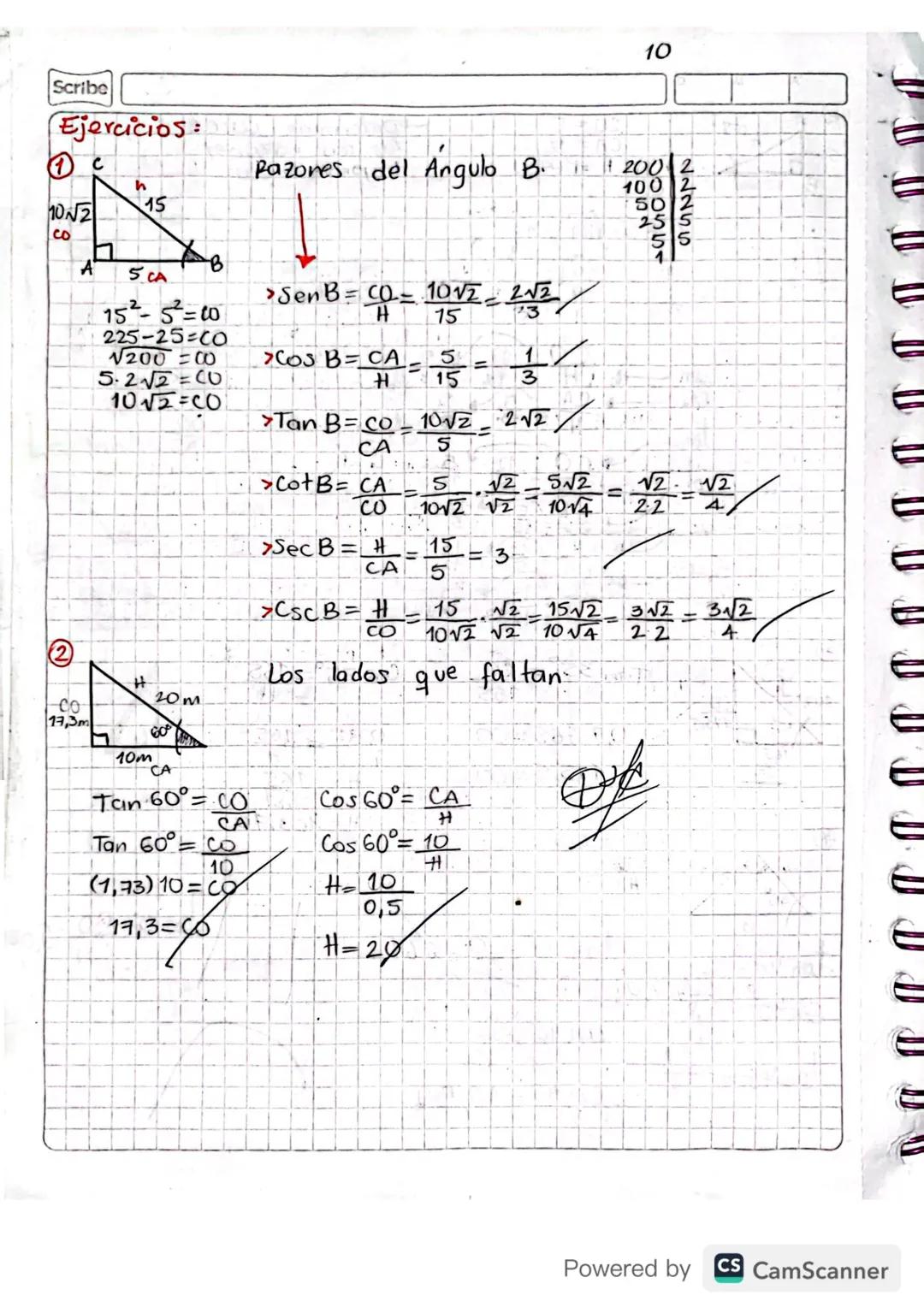 RAZONES TRIGONOMETRICAS Cocientes
RAZONES
Triángulos Rectangulos:
Cateto
thpotenusa
b
90° cateto
a a
bc
Según el ángulo agudo.
b'c'a'c ab
Ca