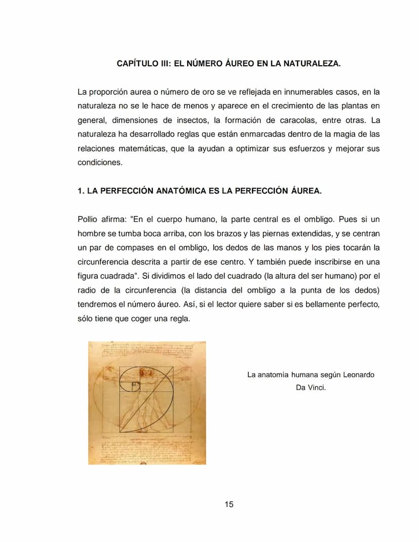 NÚMERO ÁUREO: BELLEZA MATEMÁTICA
XXXXXXXXX XXXXXXXXXXXXXXXX
ÁREA: MATEMÁTICAS
ASIGNATURA: GEOMETRÍA
XXXXXXXXXXXX
11A
XXXX
XXXX NÚMERO ÁUREO: