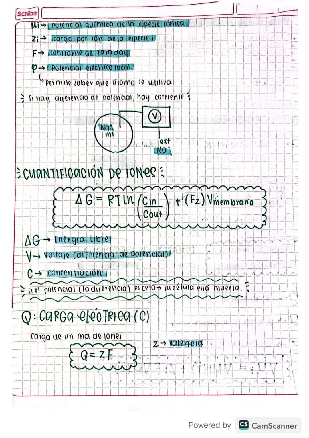 Mayo 20/2024
EJERCICIOS CARGA Y POTENCIal De MeMBRaNa
• con iones
El complejo hacer las medidas con lo demás
Medida de la semipermeables y p