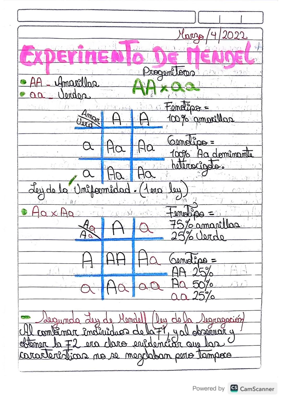 Marzo/4/2022

# ExperinENTO DE MENDEL

*   AA Amarillas
*   aa Verdes

Progenitores

$AAxaa$

|       | Amar  | A  | A  |
| :---- | :---- | 