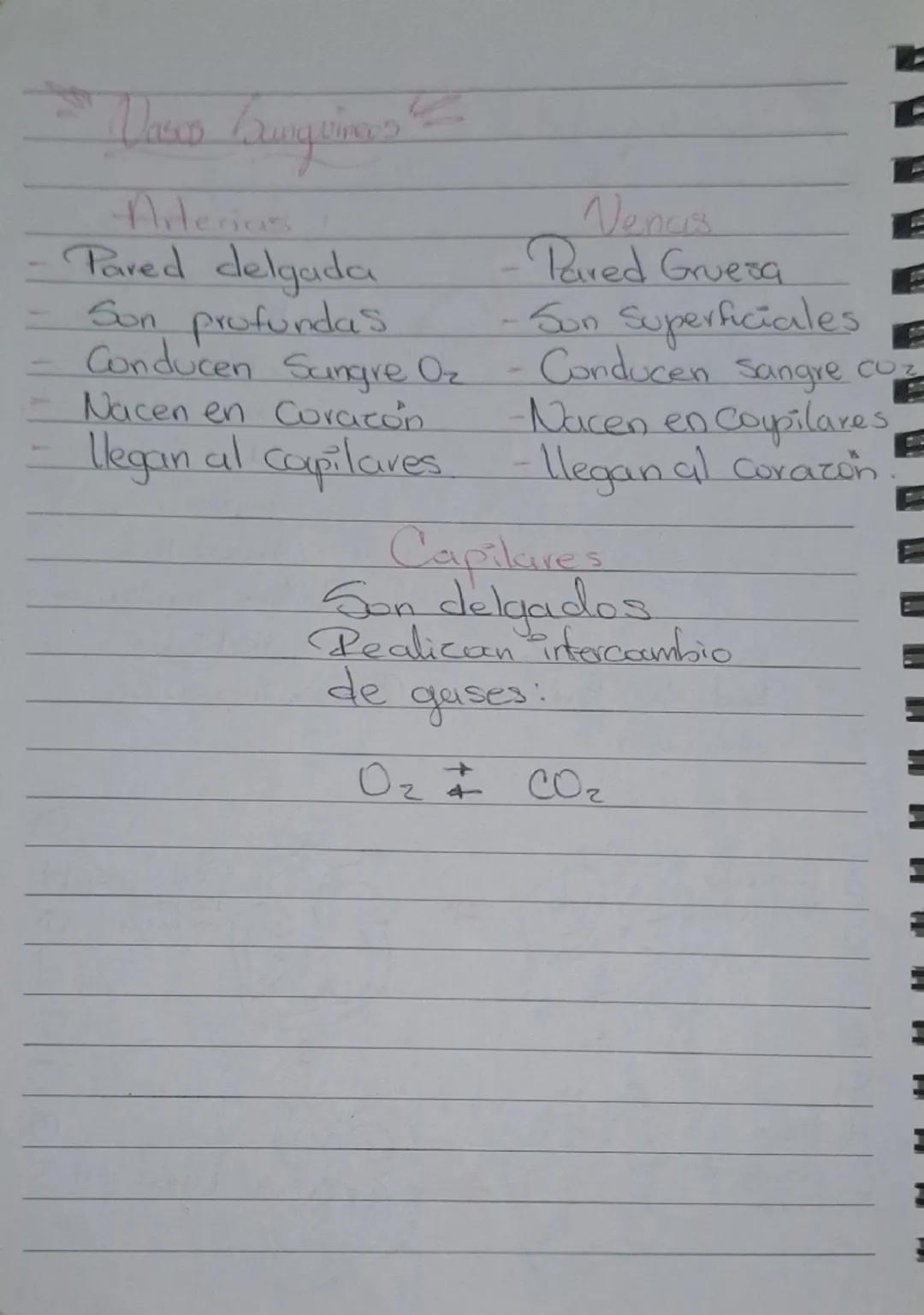# Sistema Cardiovascular

- Encargado de transportar nutrientes, gases y desechos del corazón a los tejidos y/o de tejidos al corazón.

## C