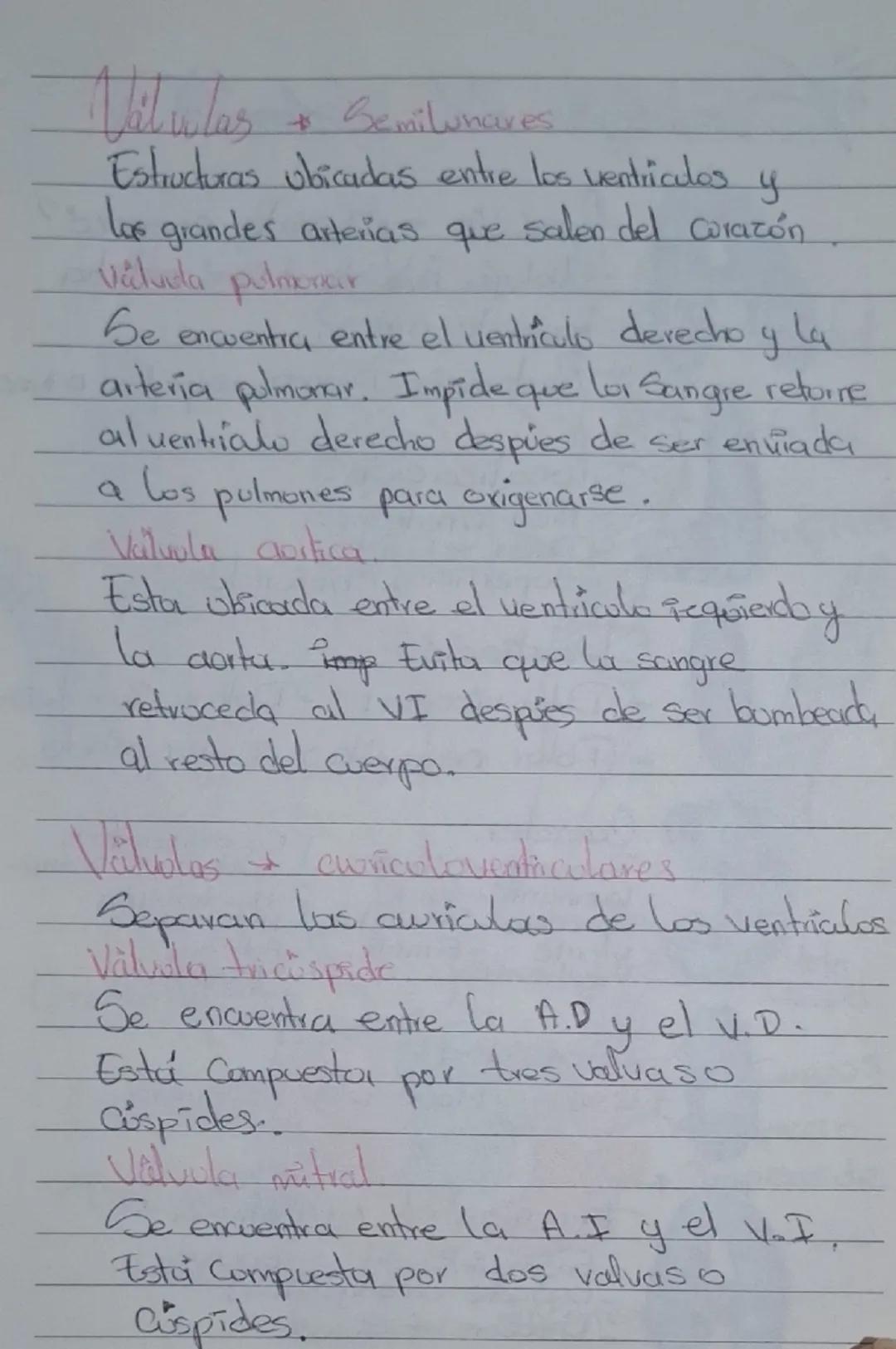 # Sistema Cardiovascular

- Encargado de transportar nutrientes, gases y desechos del corazón a los tejidos y/o de tejidos al corazón.

## C