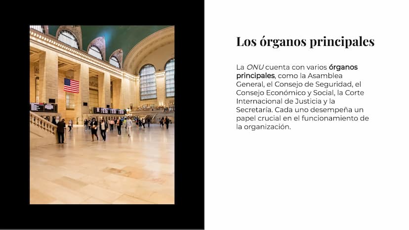 Un repaso
histórico de la
ONU Introducción
La Organización de las Naciones Unidas
(ONU) es un organismo internacional
que busca promover la 