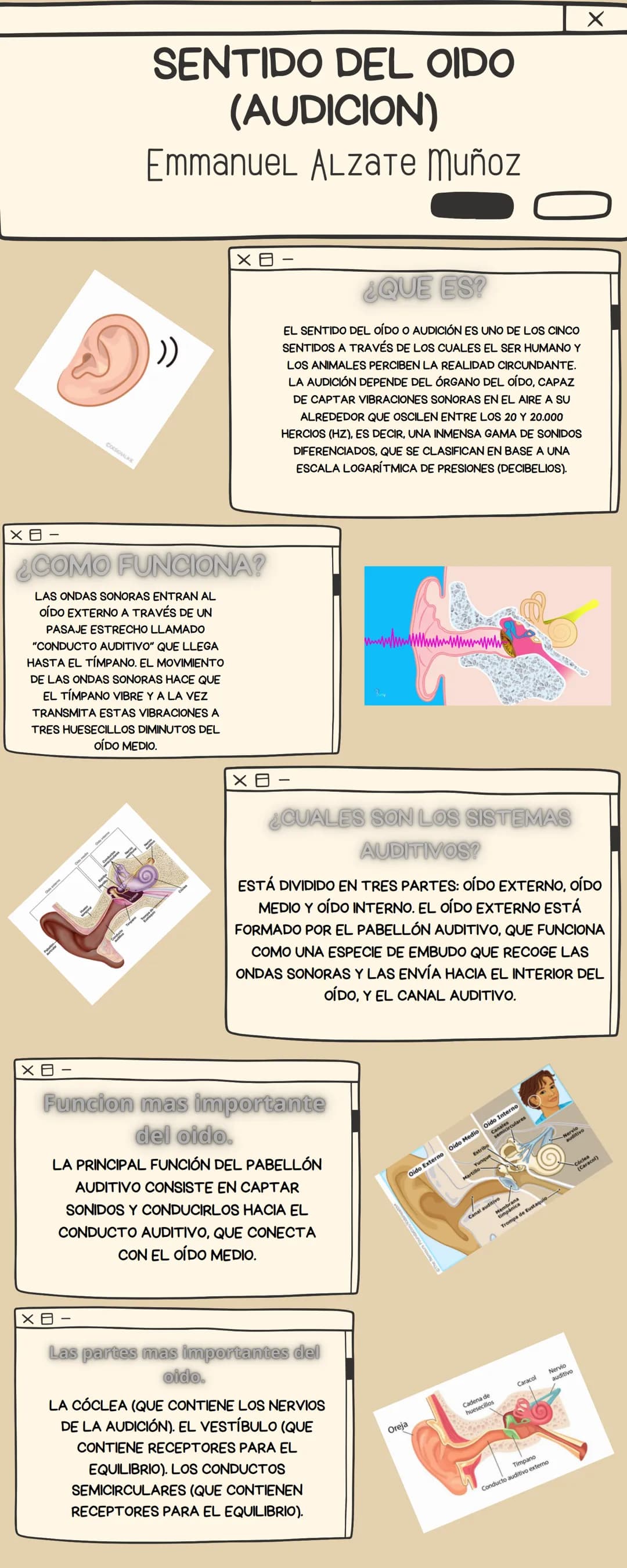 COESIGNALIKE
SENTIDO DEL OIDO
(AUDICION)
EmmanuеL ALZATE Muñoz
¿COMO FUNCIONA?
LAS ONDAS SONORAS ENTRAN AL
OÍDO EXTERNO A TRAVÉS DE UN
PASAJ