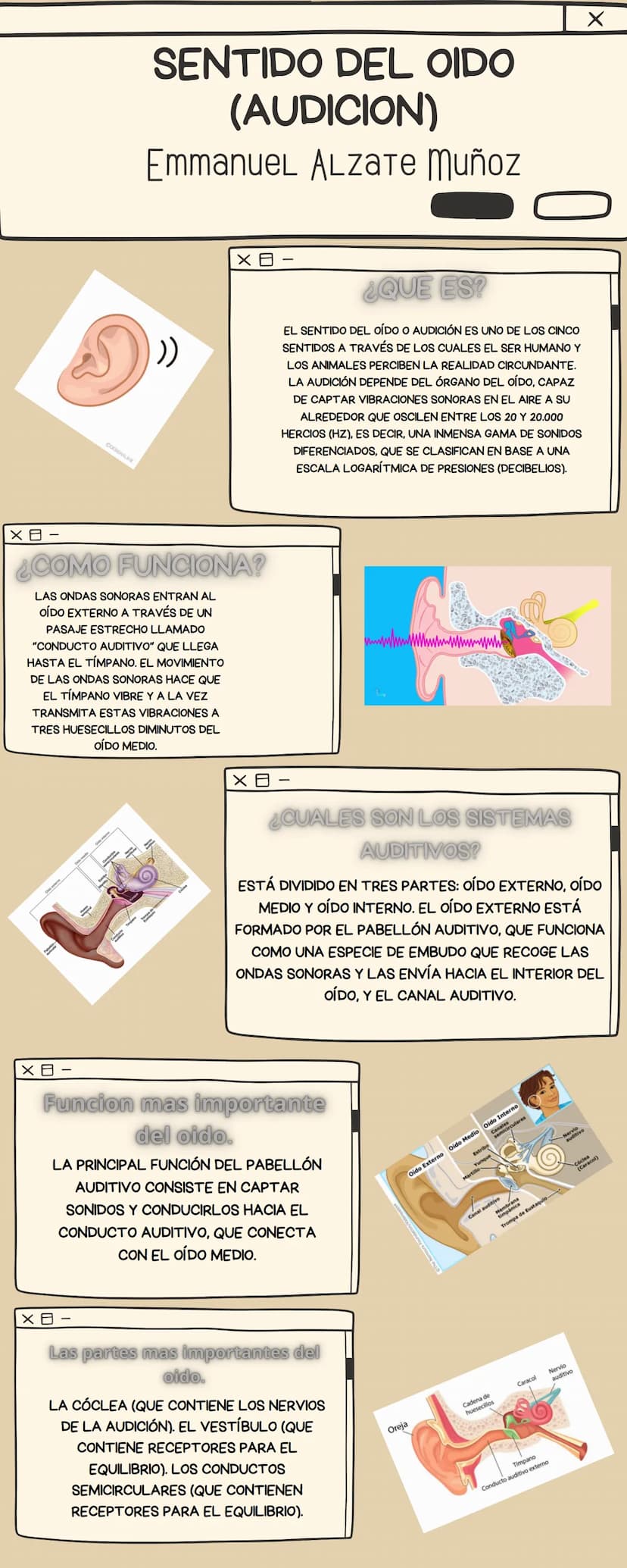 COESIGNALIKE
SENTIDO DEL OIDO
(AUDICION)
EmmanuеL ALZATE Muñoz
¿COMO FUNCIONA?
LAS ONDAS SONORAS ENTRAN AL
OÍDO EXTERNO A TRAVÉS DE UN
PASAJ