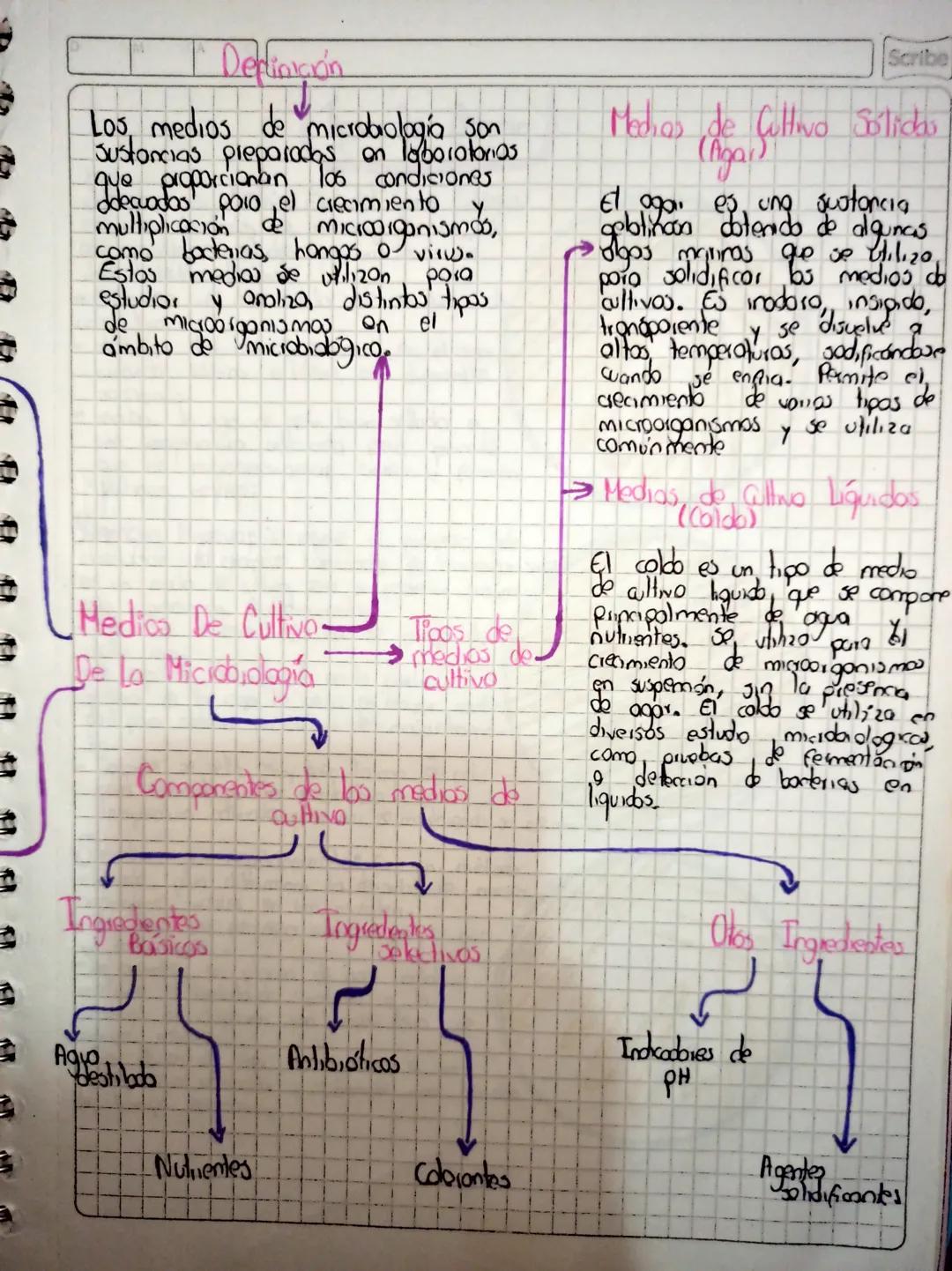 Scribe
Los medios de cultivo
Jon esenciales en
micidiobgia poro
creamiento de
microrganismos
optimizar el crecimiento
de microorgansmas en e