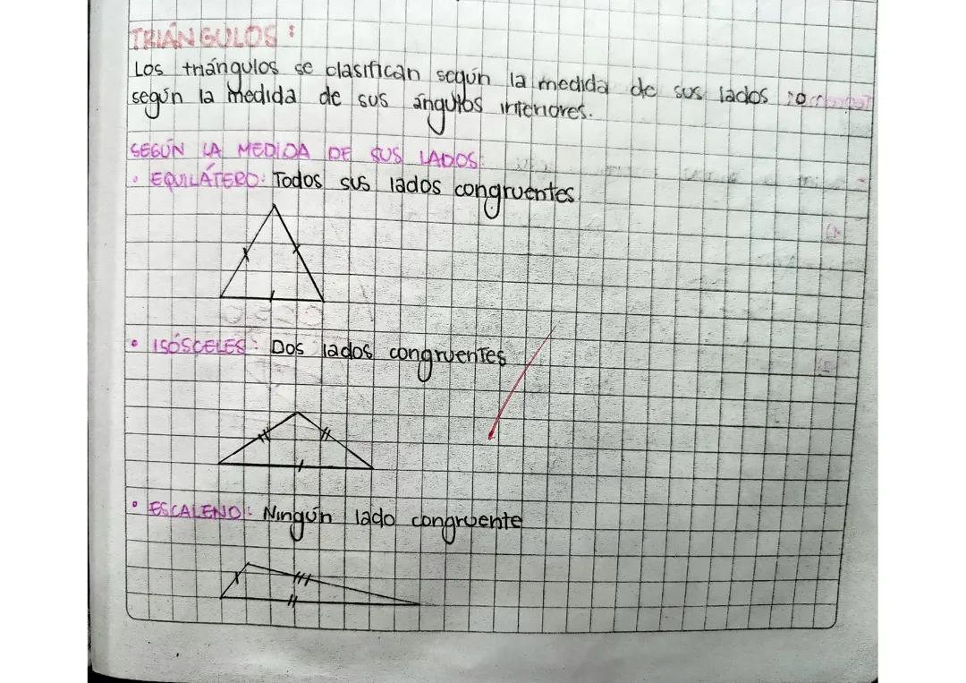 Tipos de Triángulos 