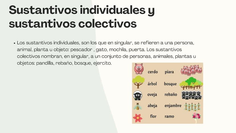 Los
sustantivos Indice
1
¿Qué es un sustantivo?
¿Cuáles son los tipos de
2
sustantivos?
3
Ejemplos ¿Qué es un
sustantivo?
•
Un sustantivo es