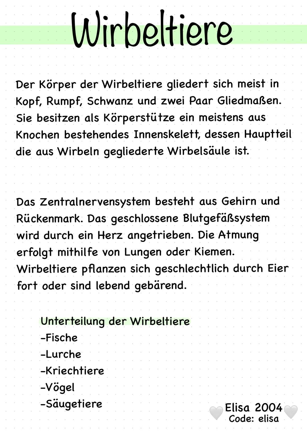 # Wirbeltiere

Der Körper der Wirbeltiere gliedert sich meist in
Kopf, Rumpf, Schwanz und zwei Paar Gliedmaßen.
Sie besitzen als Körperstütz