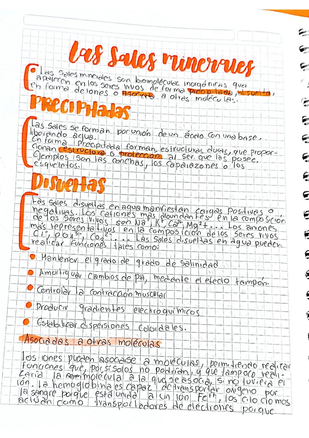 Las Sales Minerales, el Agua y la Isomería: Qué Son y Sus Tipos