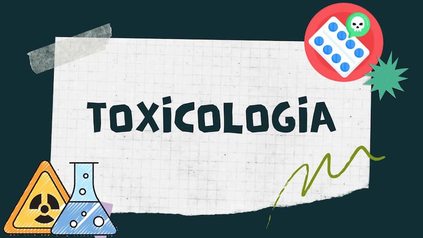 TOXICOLOGIA EDADES DE
APARICION DE
ELEMENTOS TOXICOS
TOXICO
LOGÍA
FLECHA ENVENENADA
ESTUDIO A
U
STORIES
MESOPOTAMIA
Ranunculo - euphorbia
OE