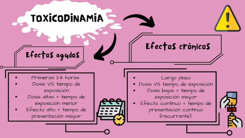 TOXICOLOGIA EDADES DE
APARICION DE
ELEMENTOS TOXICOS
TOXICO
LOGÍA
FLECHA ENVENENADA
ESTUDIO A
U
STORIES
MESOPOTAMIA
Ranunculo - euphorbia
OE