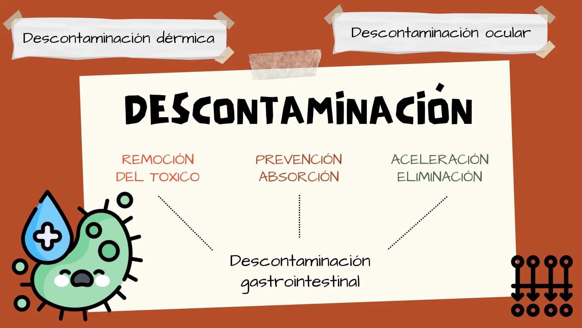 TOXICOLOGIA EDADES DE
APARICION DE
ELEMENTOS TOXICOS
TOXICO
LOGÍA
FLECHA ENVENENADA
ESTUDIO A
U
STORIES
MESOPOTAMIA
Ranunculo - euphorbia
OE
