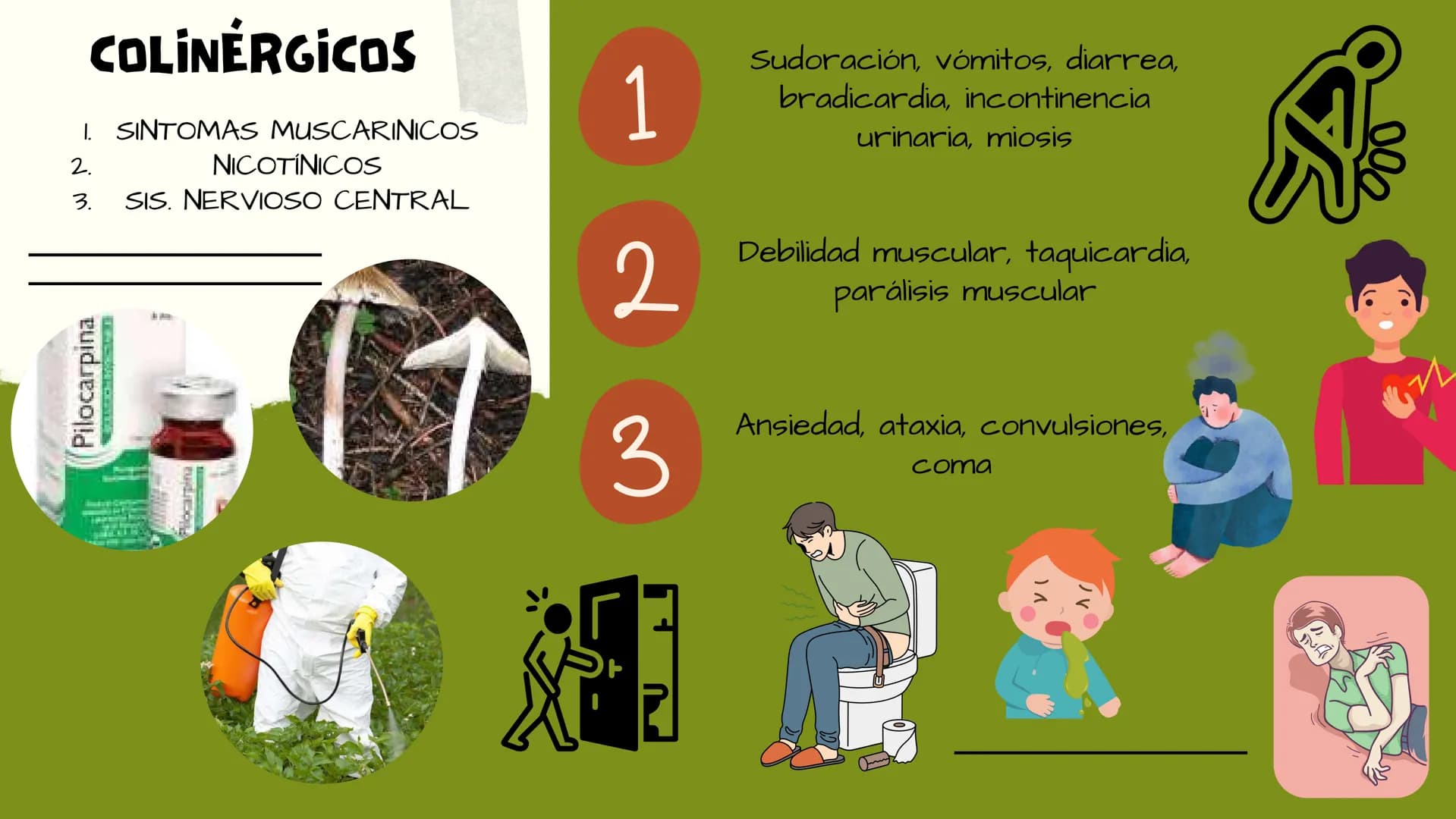 TOXICOLOGIA EDADES DE
APARICION DE
ELEMENTOS TOXICOS
TOXICO
LOGÍA
FLECHA ENVENENADA
ESTUDIO A
U
STORIES
MESOPOTAMIA
Ranunculo - euphorbia
OE