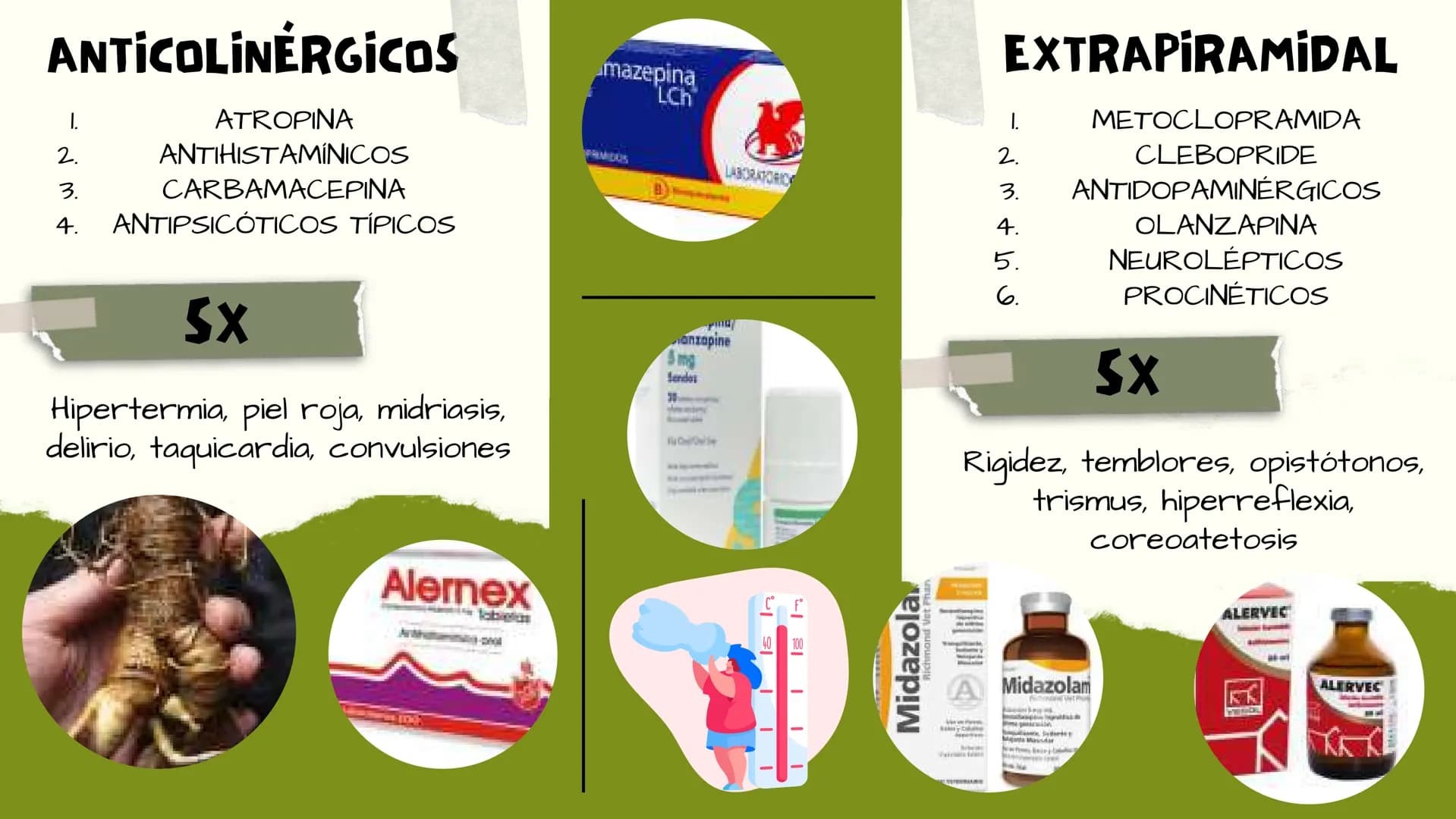 TOXICOLOGIA EDADES DE
APARICION DE
ELEMENTOS TOXICOS
TOXICO
LOGÍA
FLECHA ENVENENADA
ESTUDIO A
U
STORIES
MESOPOTAMIA
Ranunculo - euphorbia
OE