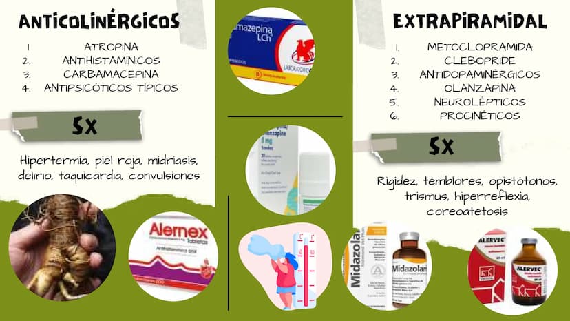 TOXICOLOGIA EDADES DE
APARICION DE
ELEMENTOS TOXICOS
TOXICO
LOGÍA
FLECHA ENVENENADA
ESTUDIO A
U
STORIES
MESOPOTAMIA
Ranunculo - euphorbia
OE