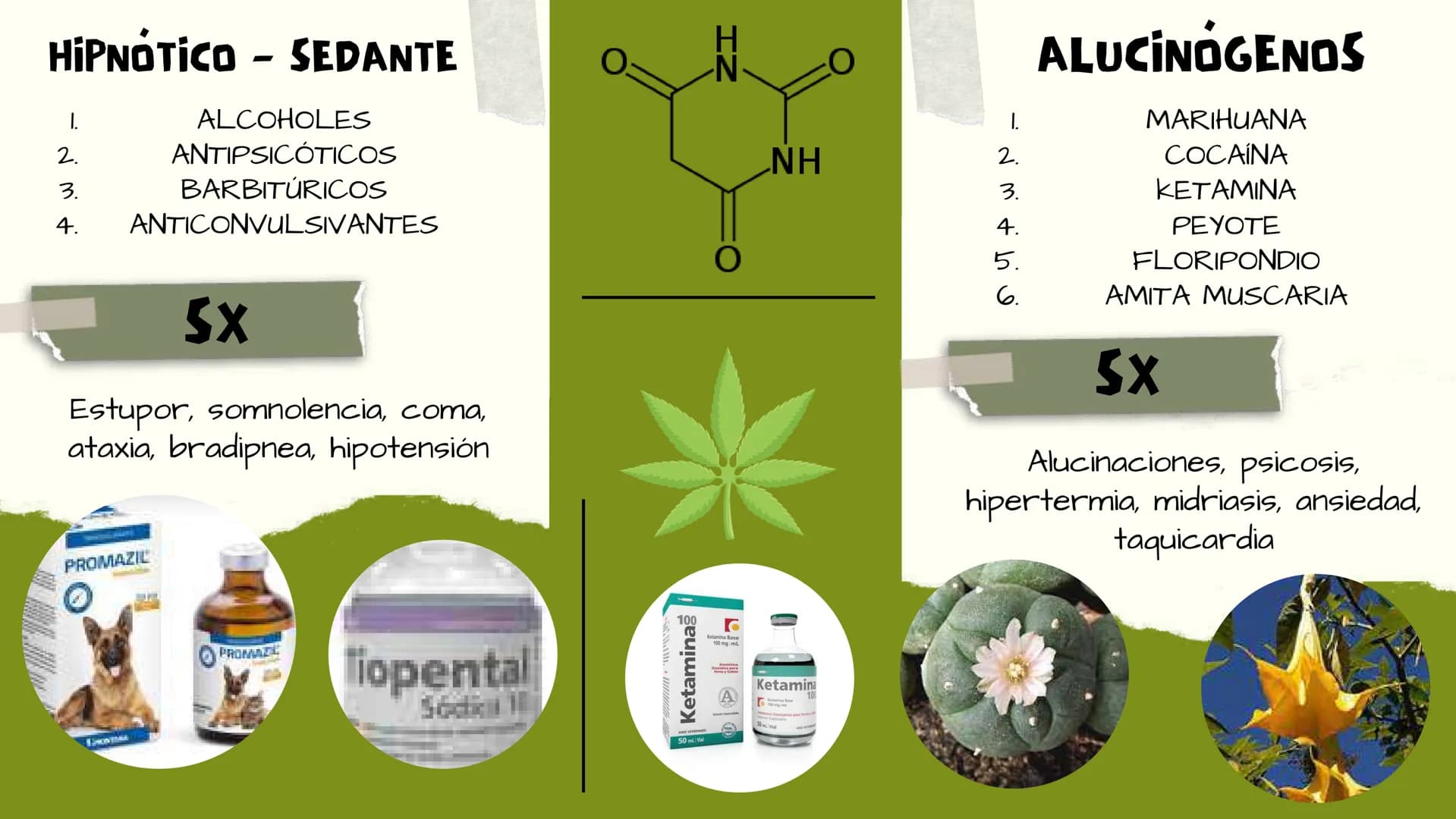 TOXICOLOGIA EDADES DE
APARICION DE
ELEMENTOS TOXICOS
TOXICO
LOGÍA
FLECHA ENVENENADA
ESTUDIO A
U
STORIES
MESOPOTAMIA
Ranunculo - euphorbia
OE