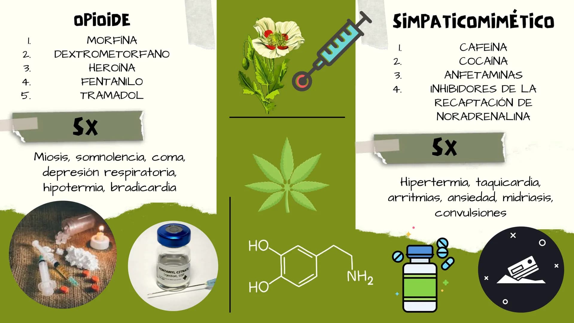 TOXICOLOGIA EDADES DE
APARICION DE
ELEMENTOS TOXICOS
TOXICO
LOGÍA
FLECHA ENVENENADA
ESTUDIO A
U
STORIES
MESOPOTAMIA
Ranunculo - euphorbia
OE