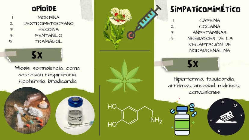 TOXICOLOGIA EDADES DE
APARICION DE
ELEMENTOS TOXICOS
TOXICO
LOGÍA
FLECHA ENVENENADA
ESTUDIO A
U
STORIES
MESOPOTAMIA
Ranunculo - euphorbia
OE