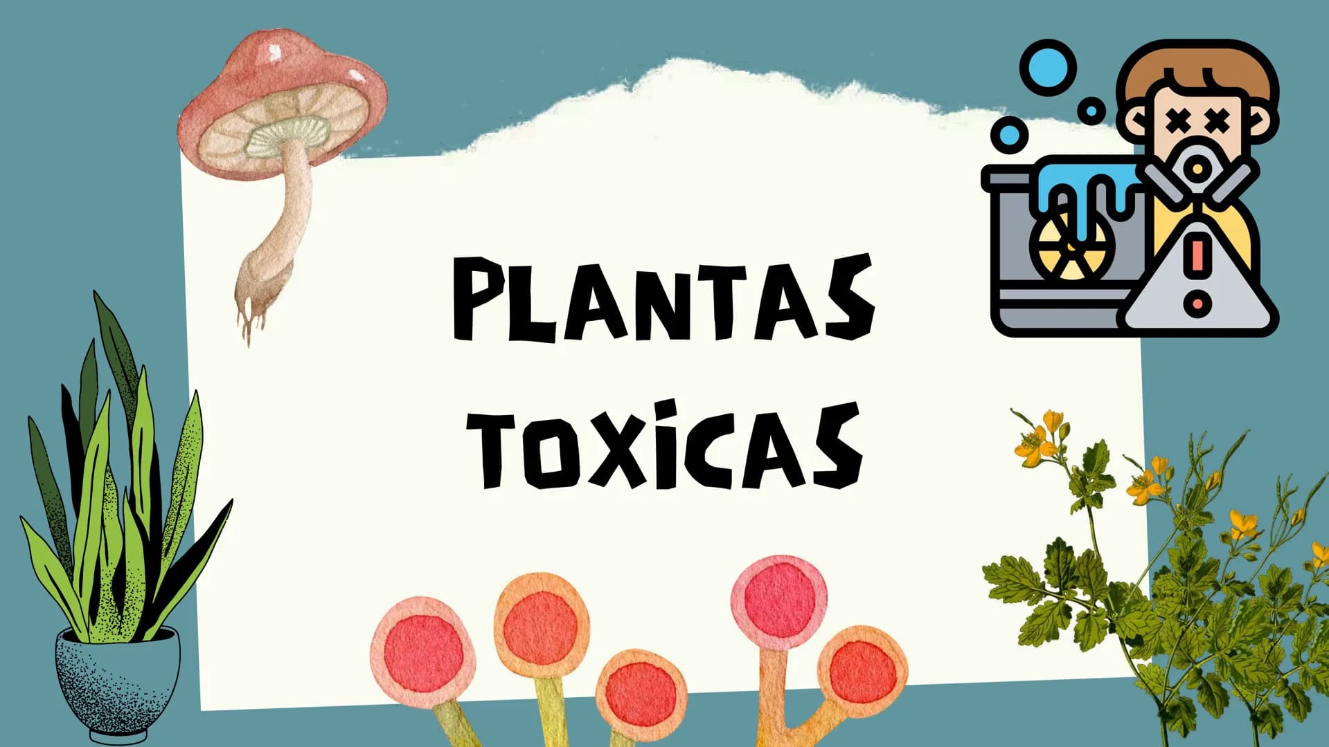 TOXICOLOGIA EDADES DE
APARICION DE
ELEMENTOS TOXICOS
TOXICO
LOGÍA
FLECHA ENVENENADA
ESTUDIO A
U
STORIES
MESOPOTAMIA
Ranunculo - euphorbia
OE