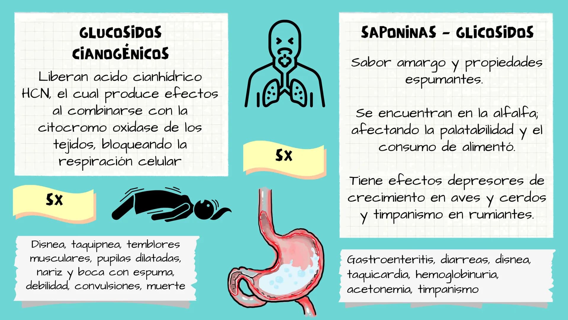 TOXICOLOGIA EDADES DE
APARICION DE
ELEMENTOS TOXICOS
TOXICO
LOGÍA
FLECHA ENVENENADA
ESTUDIO A
U
STORIES
MESOPOTAMIA
Ranunculo - euphorbia
OE
