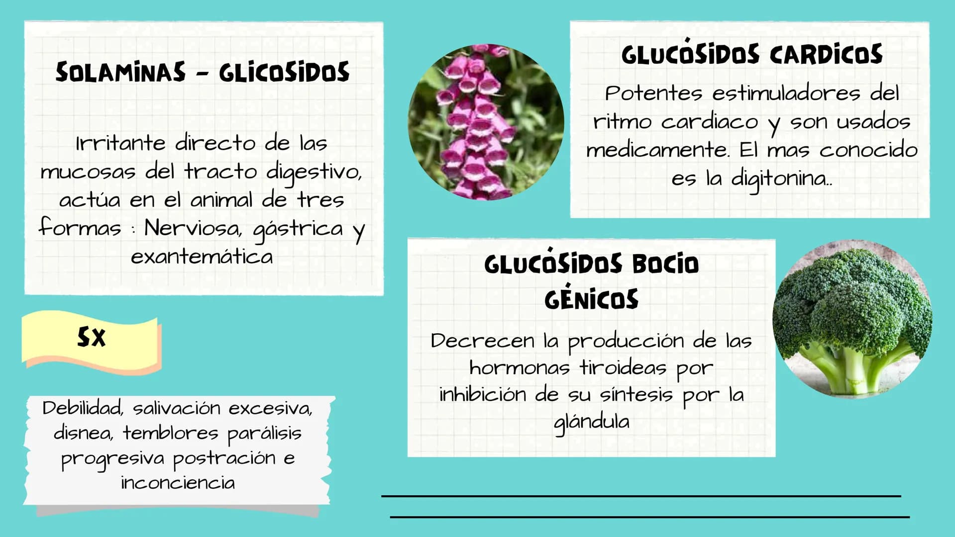 TOXICOLOGIA EDADES DE
APARICION DE
ELEMENTOS TOXICOS
TOXICO
LOGÍA
FLECHA ENVENENADA
ESTUDIO A
U
STORIES
MESOPOTAMIA
Ranunculo - euphorbia
OE