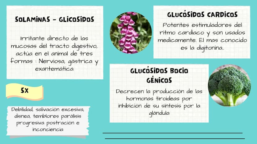 TOXICOLOGIA EDADES DE
APARICION DE
ELEMENTOS TOXICOS
TOXICO
LOGÍA
FLECHA ENVENENADA
ESTUDIO A
U
STORIES
MESOPOTAMIA
Ranunculo - euphorbia
OE