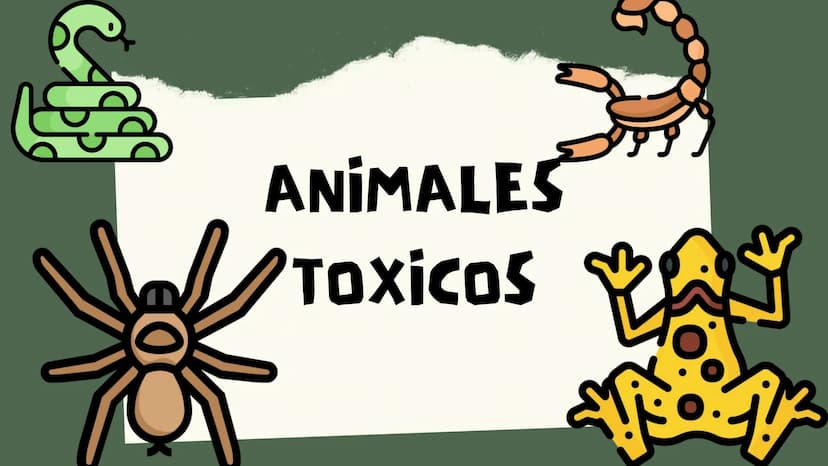 TOXICOLOGIA EDADES DE
APARICION DE
ELEMENTOS TOXICOS
TOXICO
LOGÍA
FLECHA ENVENENADA
ESTUDIO A
U
STORIES
MESOPOTAMIA
Ranunculo - euphorbia
OE