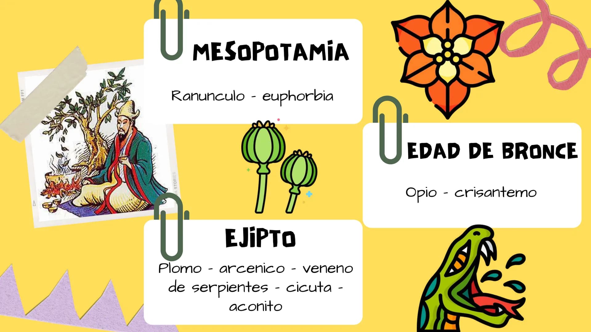 TOXICOLOGIA EDADES DE
APARICION DE
ELEMENTOS TOXICOS
TOXICO
LOGÍA
FLECHA ENVENENADA
ESTUDIO A
U
STORIES
MESOPOTAMIA
Ranunculo - euphorbia
OE