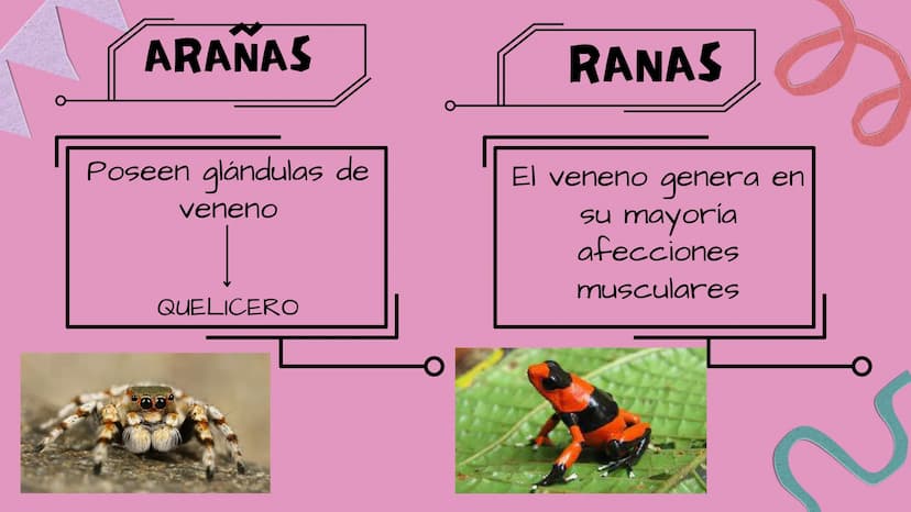 TOXICOLOGIA EDADES DE
APARICION DE
ELEMENTOS TOXICOS
TOXICO
LOGÍA
FLECHA ENVENENADA
ESTUDIO A
U
STORIES
MESOPOTAMIA
Ranunculo - euphorbia
OE