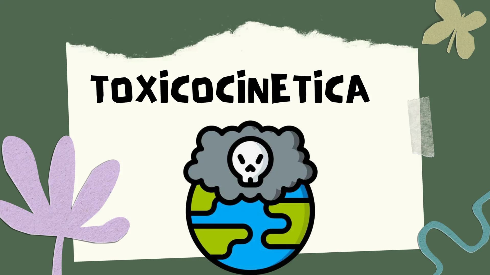 TOXICOLOGIA EDADES DE
APARICION DE
ELEMENTOS TOXICOS
TOXICO
LOGÍA
FLECHA ENVENENADA
ESTUDIO A
U
STORIES
MESOPOTAMIA
Ranunculo - euphorbia
OE