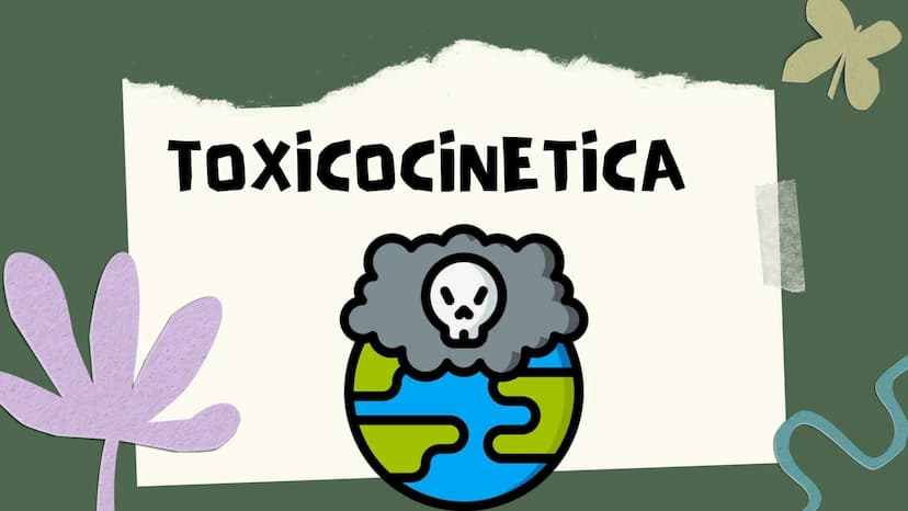 TOXICOLOGIA EDADES DE
APARICION DE
ELEMENTOS TOXICOS
TOXICO
LOGÍA
FLECHA ENVENENADA
ESTUDIO A
U
STORIES
MESOPOTAMIA
Ranunculo - euphorbia
OE