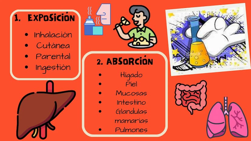 TOXICOLOGIA EDADES DE
APARICION DE
ELEMENTOS TOXICOS
TOXICO
LOGÍA
FLECHA ENVENENADA
ESTUDIO A
U
STORIES
MESOPOTAMIA
Ranunculo - euphorbia
OE