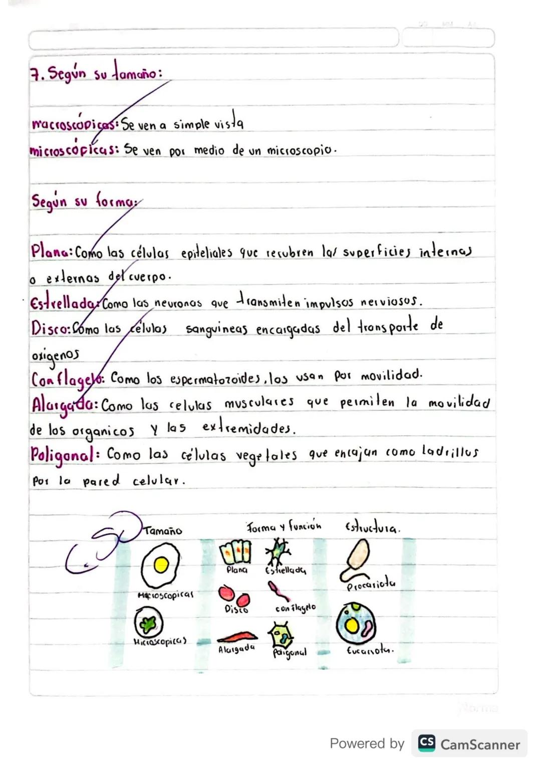 7 de mayo de 2024

Actividad

1 ¿Qué es la celula?
2. Explica el descubrimiento de la célula a traves de una línea del tiempo
3 Explica la t