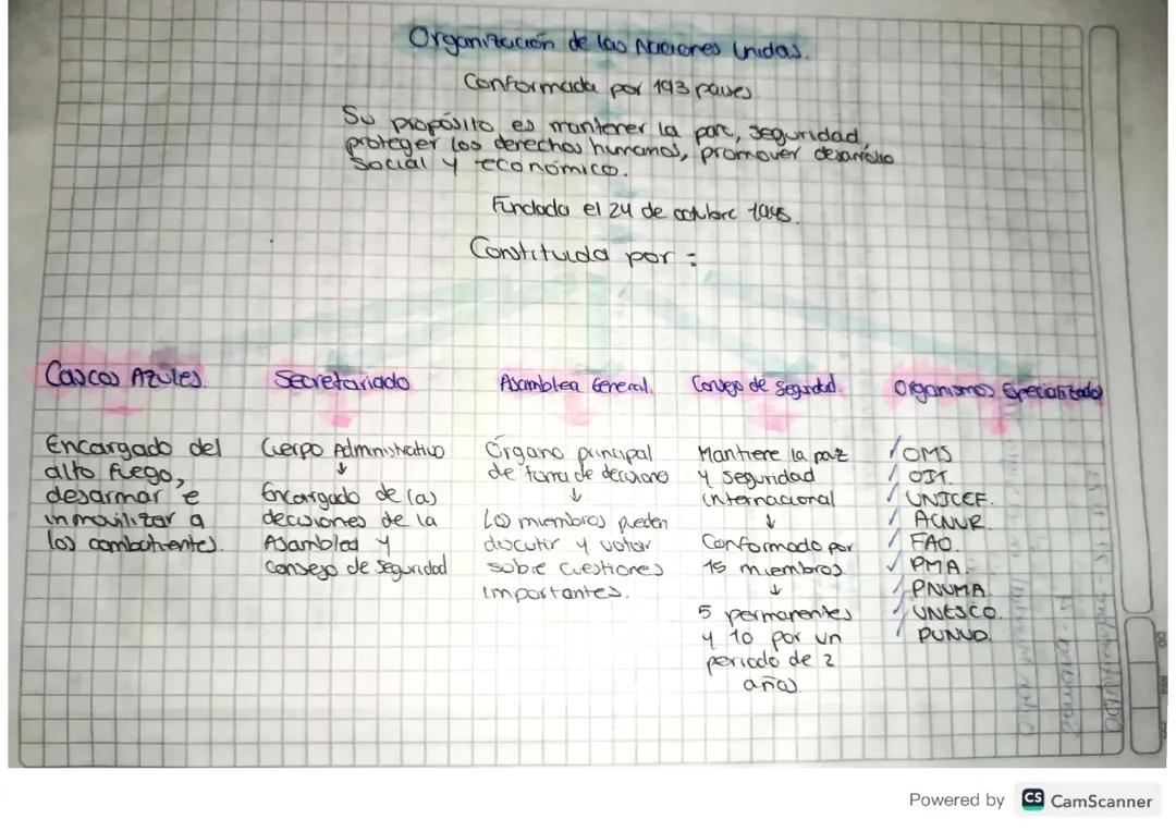 Organización de la ONU: Mapa Conceptual