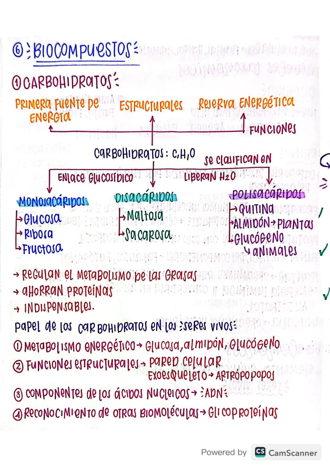 Biología grado 11 - Biocompuestos