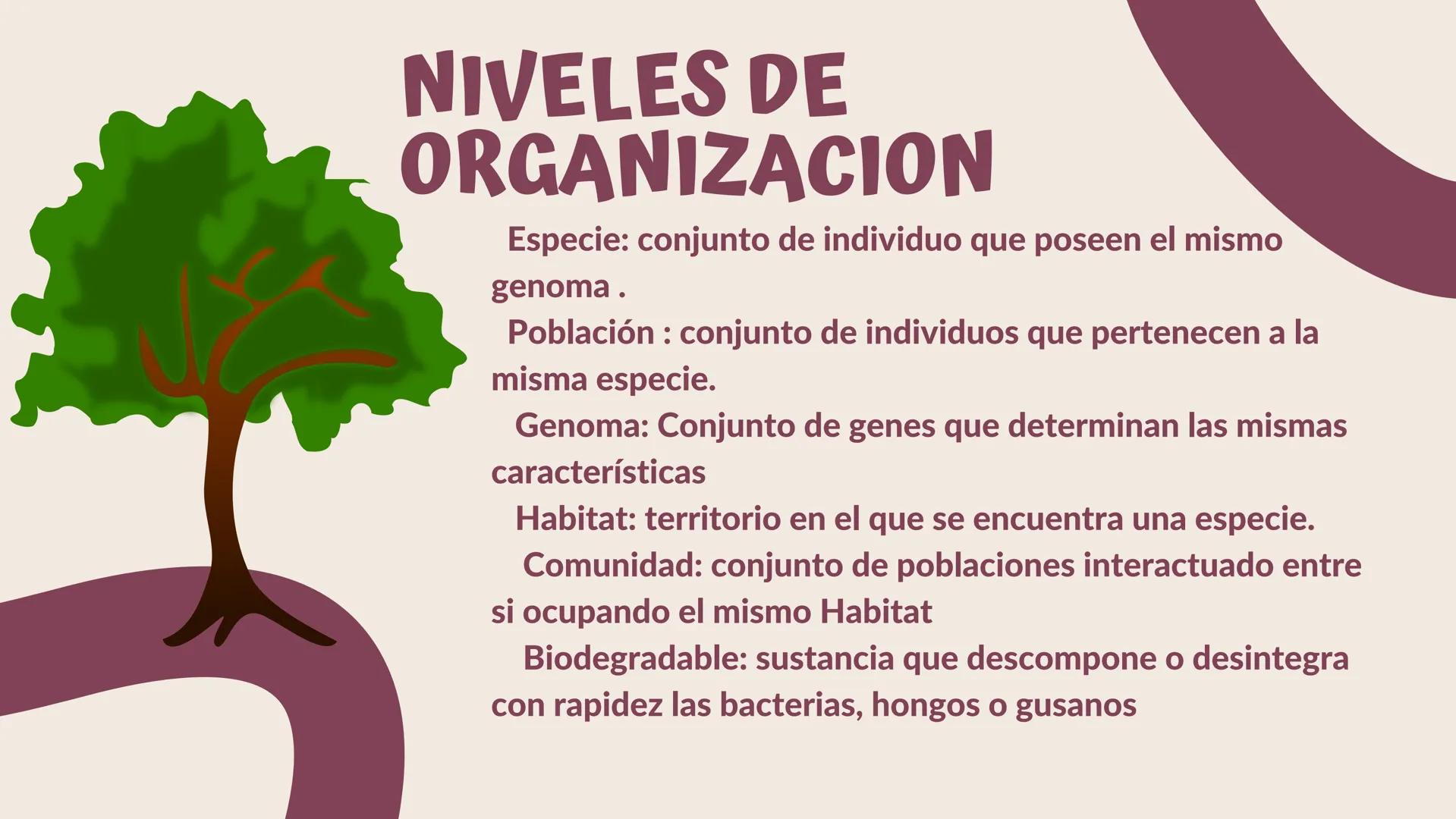 TERMINOS
ECOLOGICOS CONSEPTOS
BASICOS DE
ECOLOGIA ¿QUE SON?
la ecologia es una rama de la biologia que estudia las interacciones
de los sere